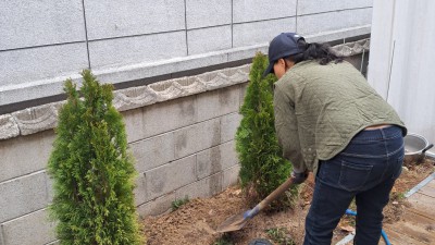 봄맞이 화단가꾸기~~